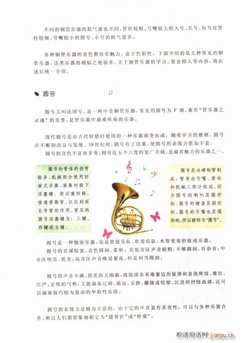 孩子学什么乐器好？21-40(十字及以上)17