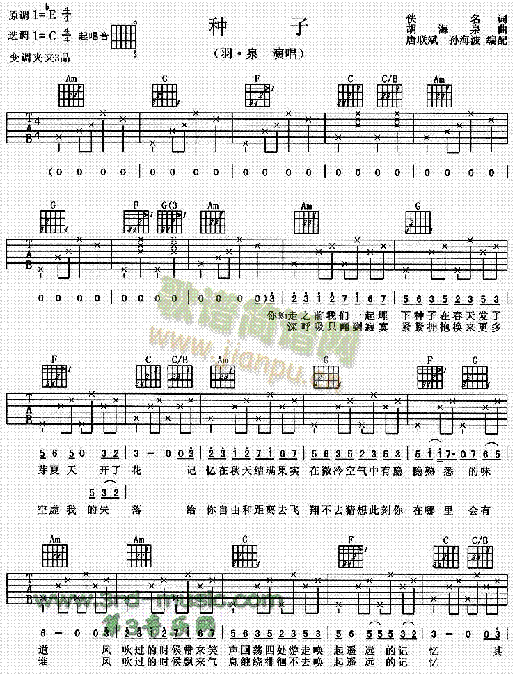 種子(吉他譜)1
