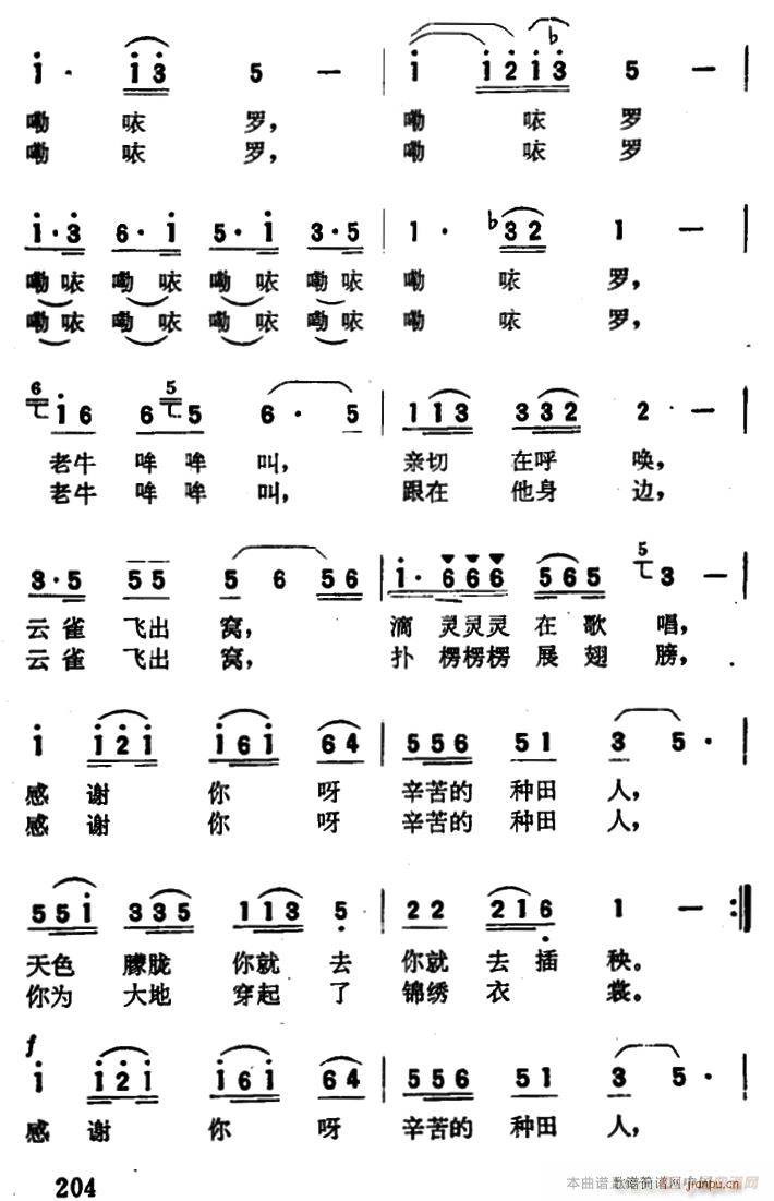 闪亮的露水落在草上 2