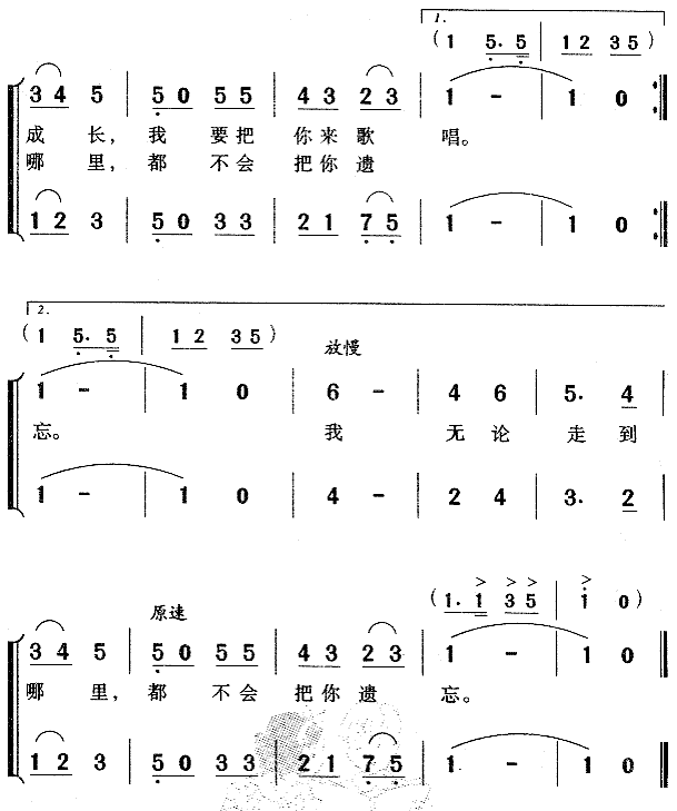 校园里的小白杨 2