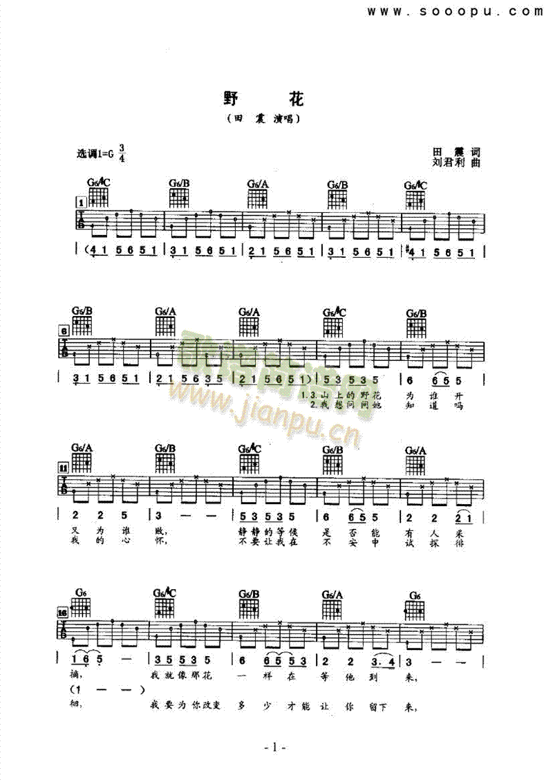 野花吉他類流行(其他樂譜)1