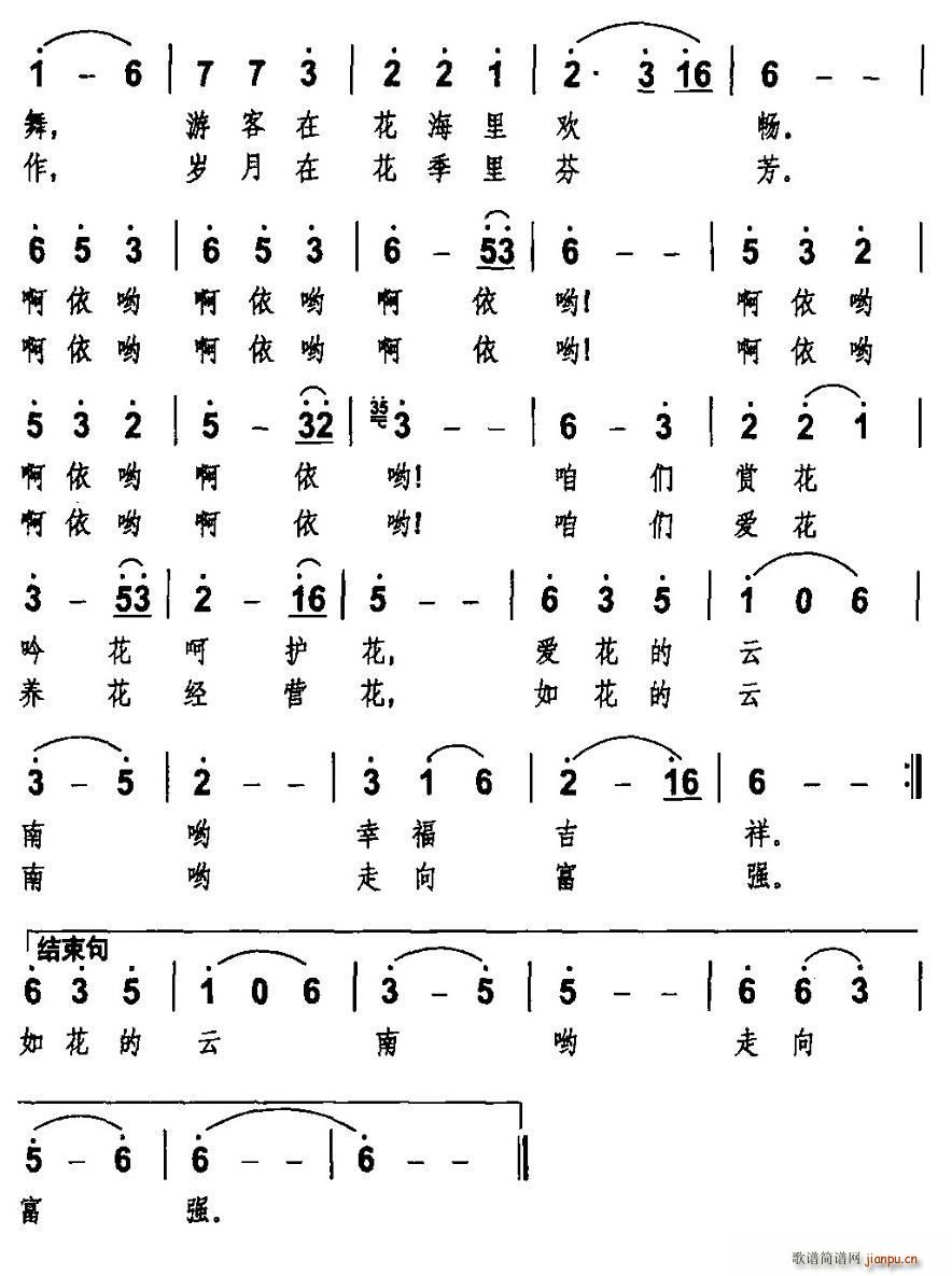 云南花的天堂 2