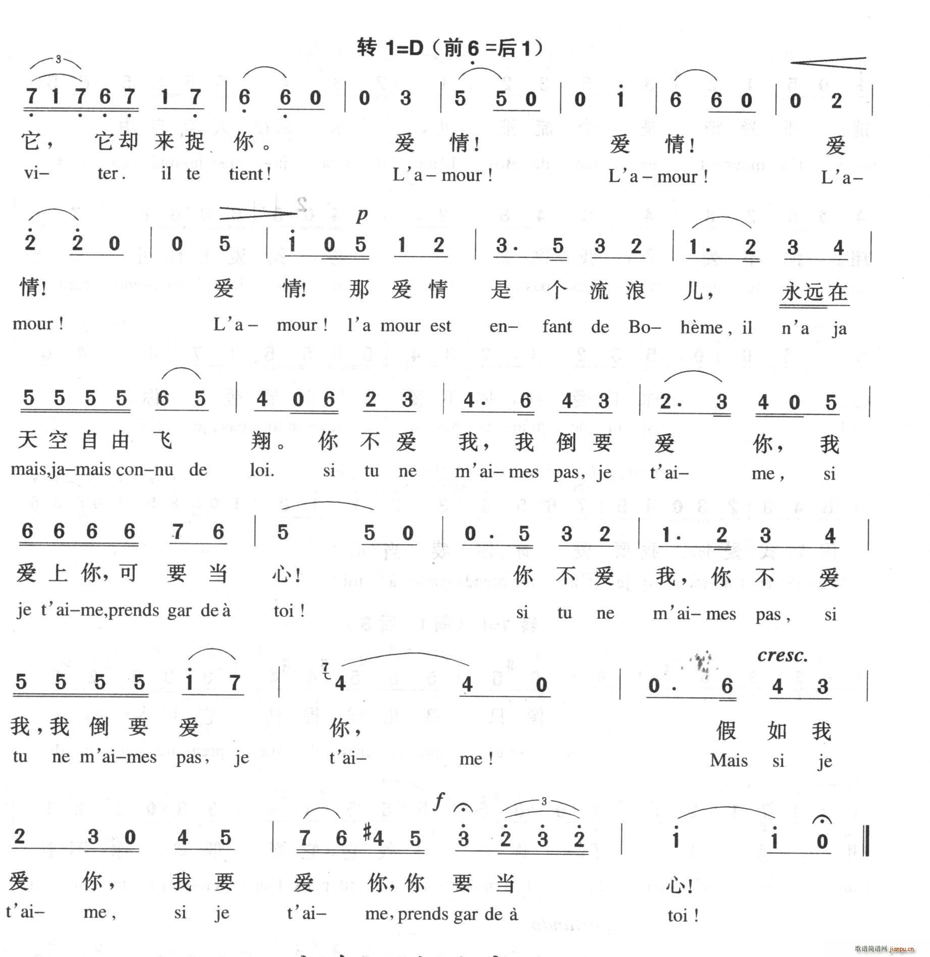 爱情像一只自由鸟(八字歌谱)3