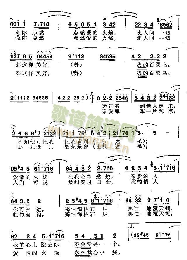 百灵鸟 2