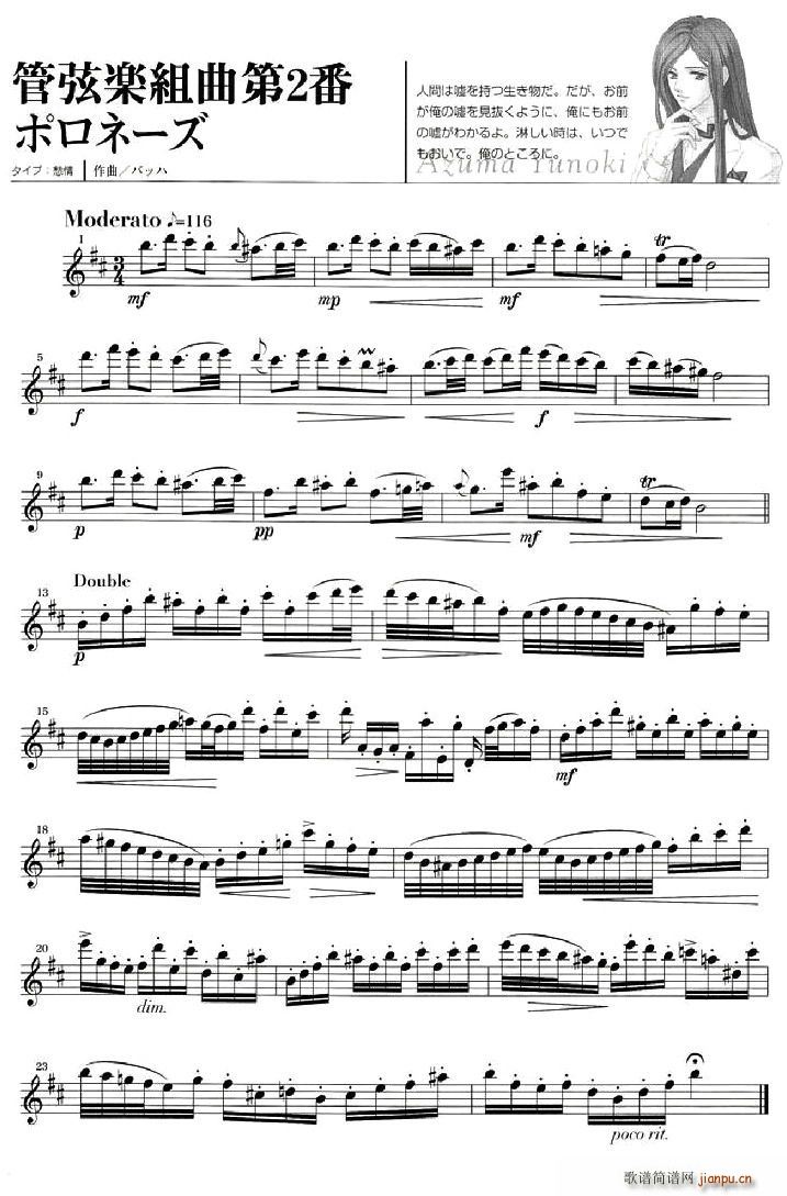 金色琴弦(笛箫谱)13