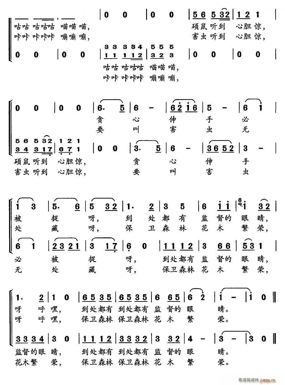 啄木鸟 猫头鹰 合唱 2