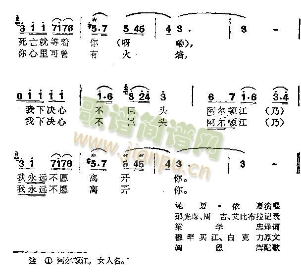 阿尔顿江 2