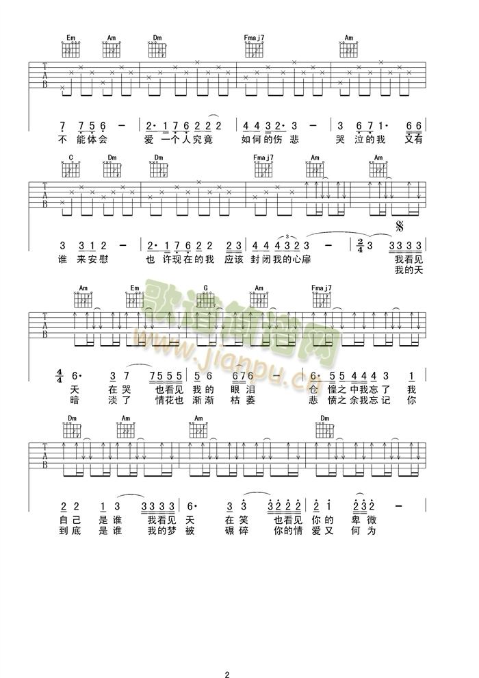 你的無(wú)情我的淚（吉他譜） 2