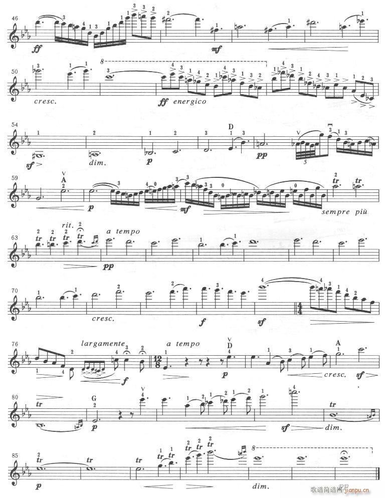 第二乐章-提琴 2