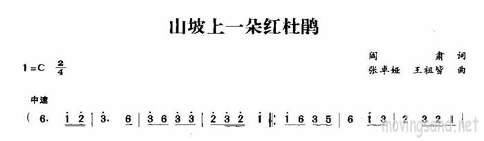 山坡上一朵红杜鹃(八字歌谱)1