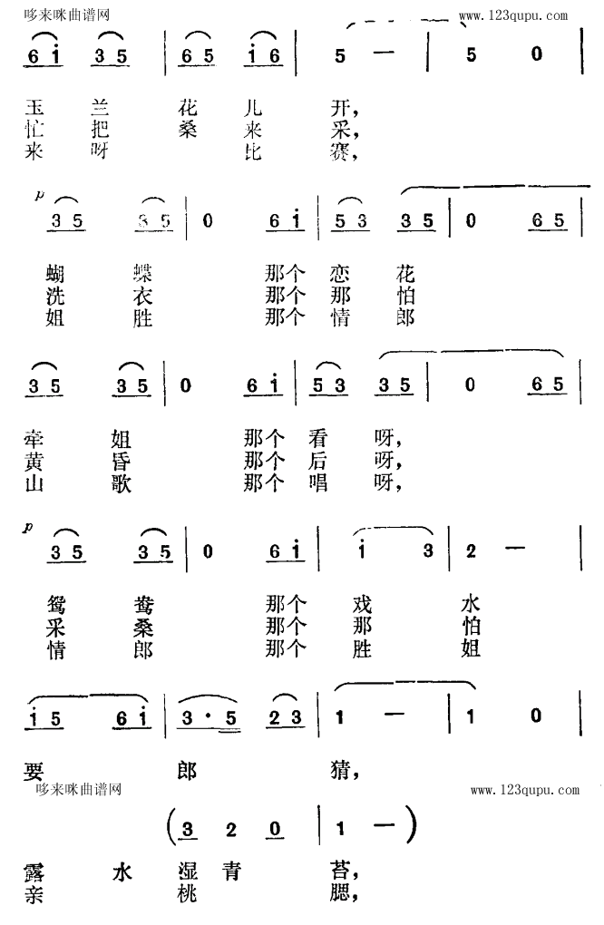 拔根蘆柴花 2