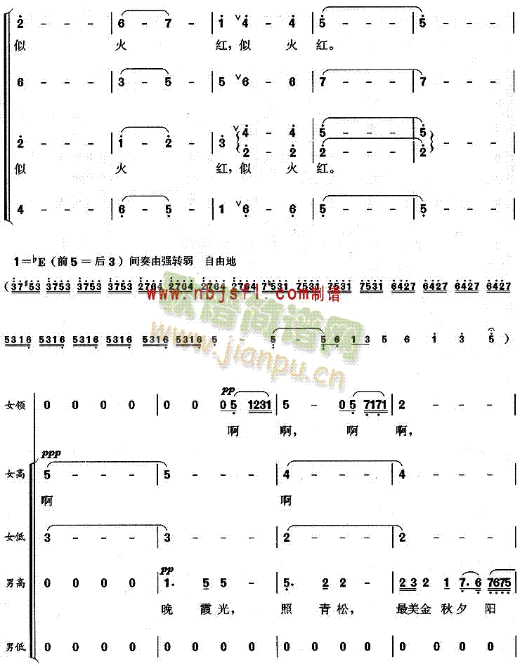 最美金秋夕阳红 4