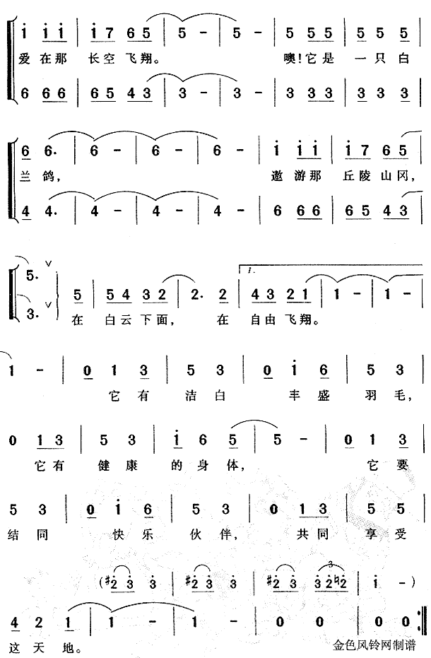 白兰鸽 2