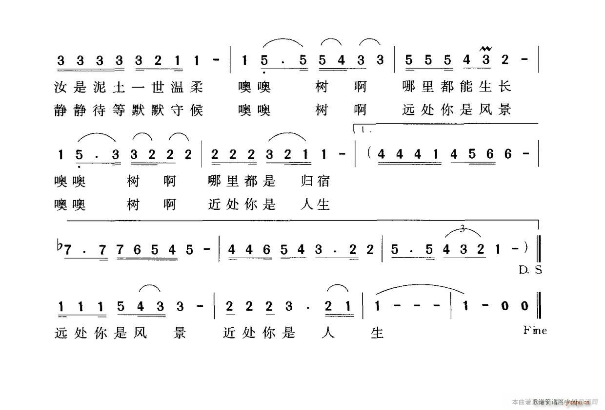 树之恋 2