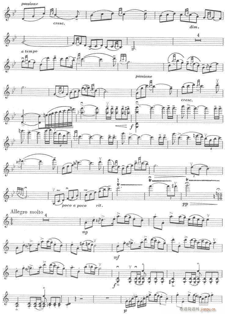 草海音诗-提琴 2