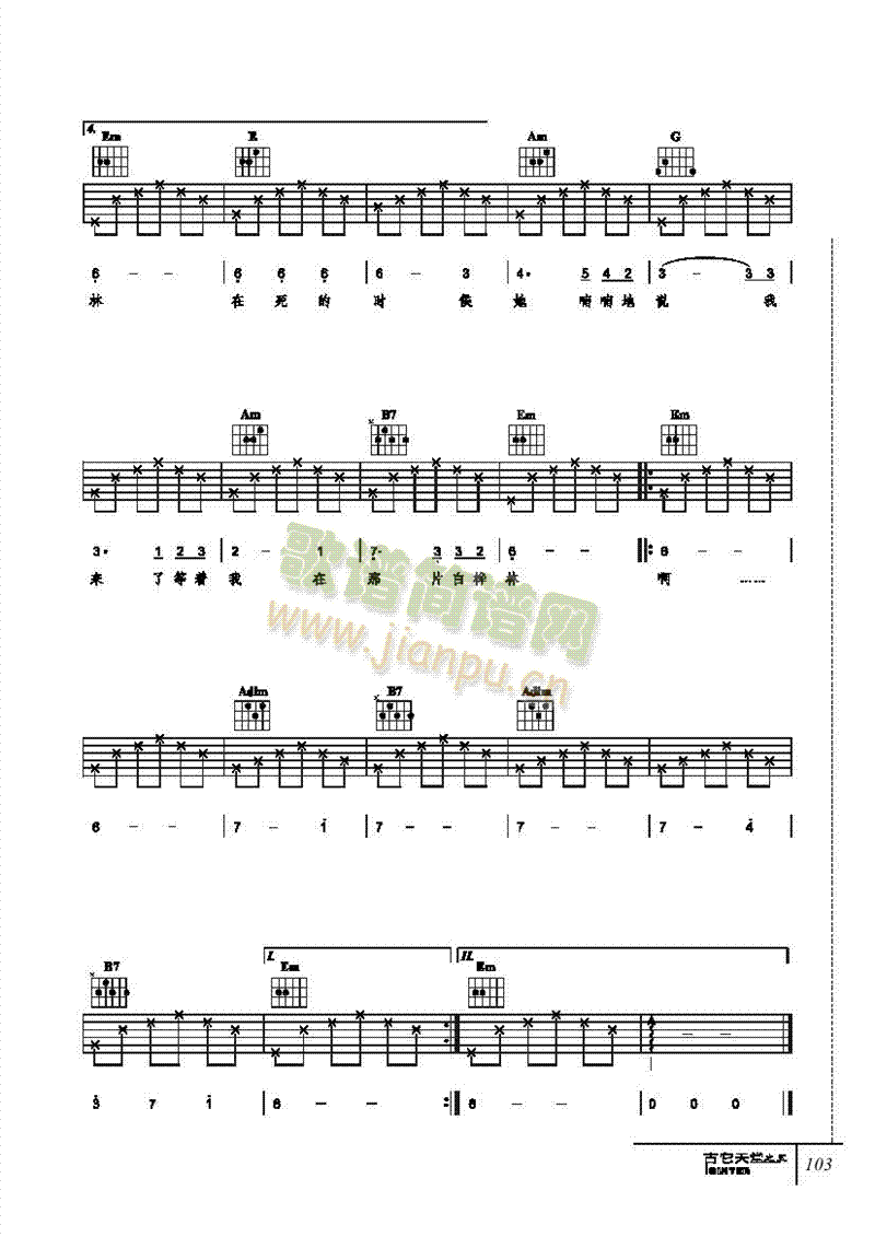 白桦林-弹唱吉他类流行 4