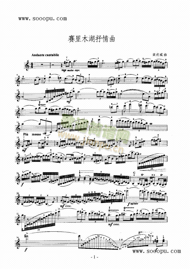 赛里木湖抒情曲—独奏弦乐类小提琴(其他乐谱)1