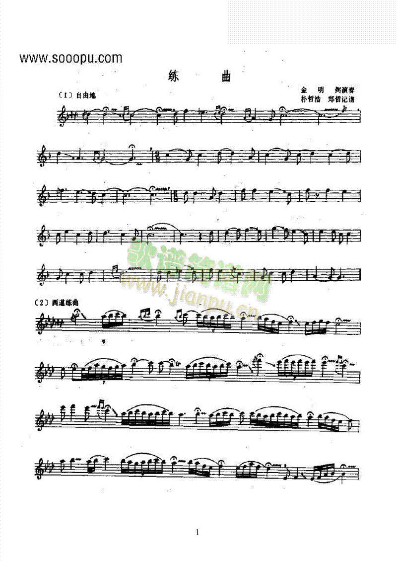 练习—短萧民乐类其他乐器(其他乐谱)1