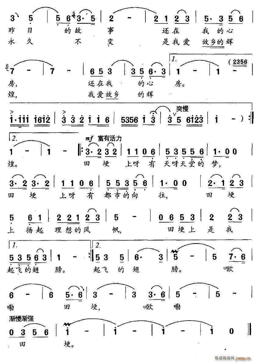 漫步在故乡的田埂上 2