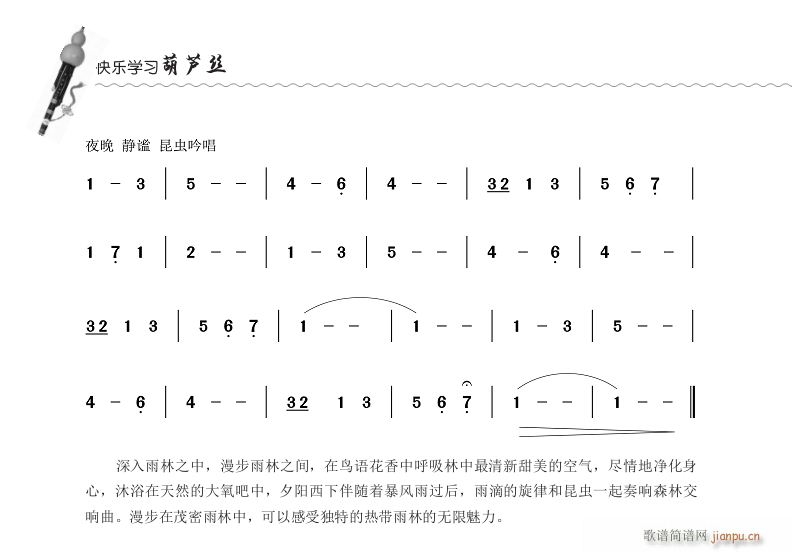 雨林漫步 葫芦丝(葫芦丝谱)3