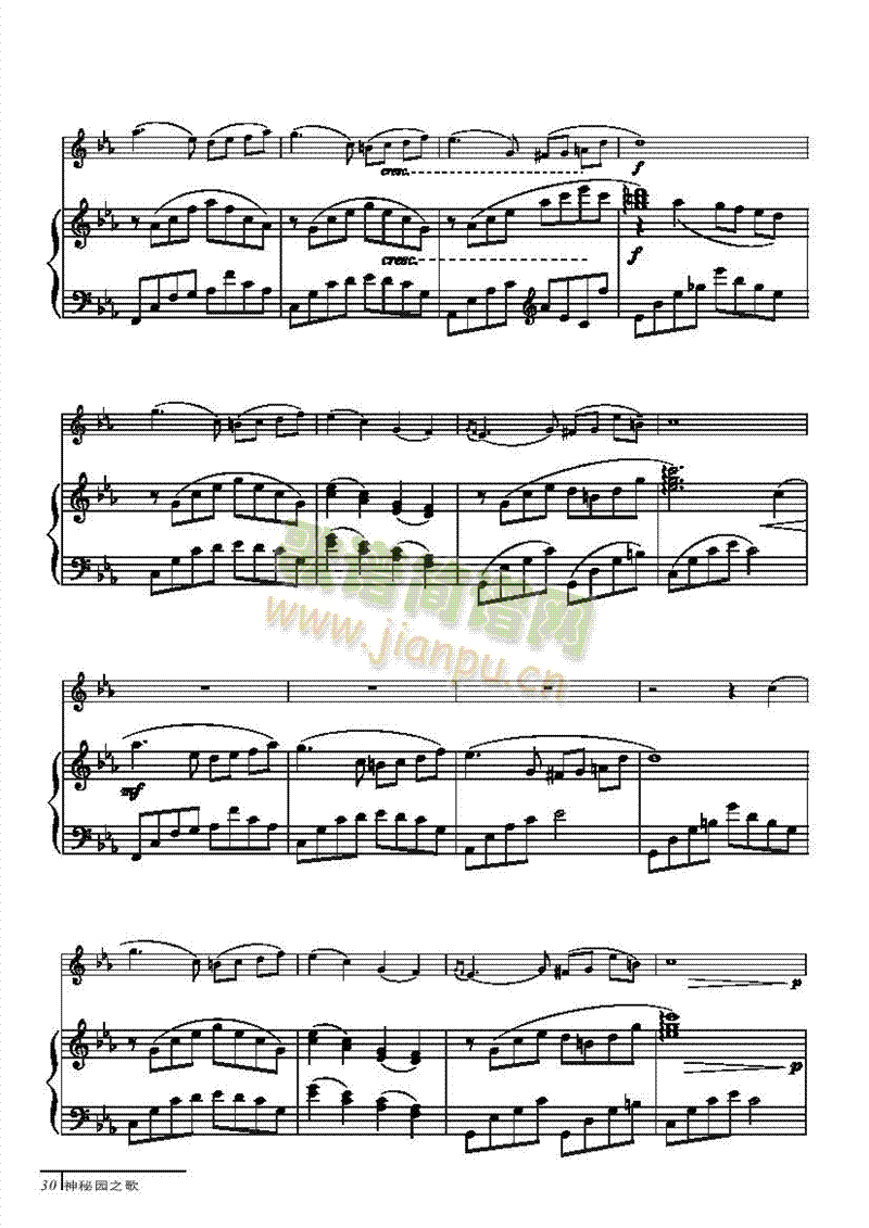泪光中-钢伴谱弦乐类小提琴 2