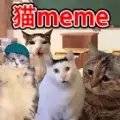 貓meme搞怪冒險下載安卓