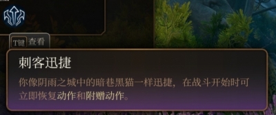 《博德之门3》游荡者子职业选择推荐一览