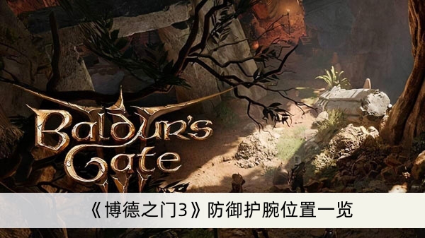 《博德之门3》防御护腕位置一览