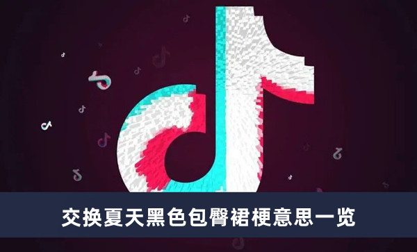 《抖音》交换夏天黑色包臀裙梗意思一览
