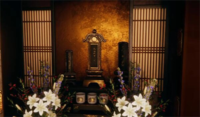 《茧中蚕》全章节攻略大全