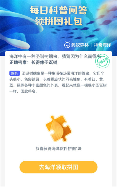 海洋中有一种圣诞树蠕虫，猜猜因为什么而得名