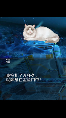 猫生煎熬下载正版