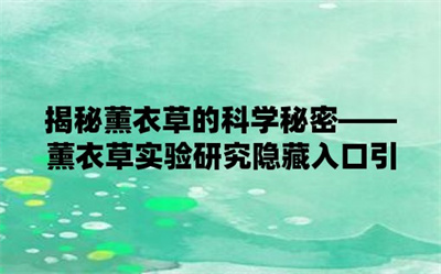 薰衣草实验研究所最新版本